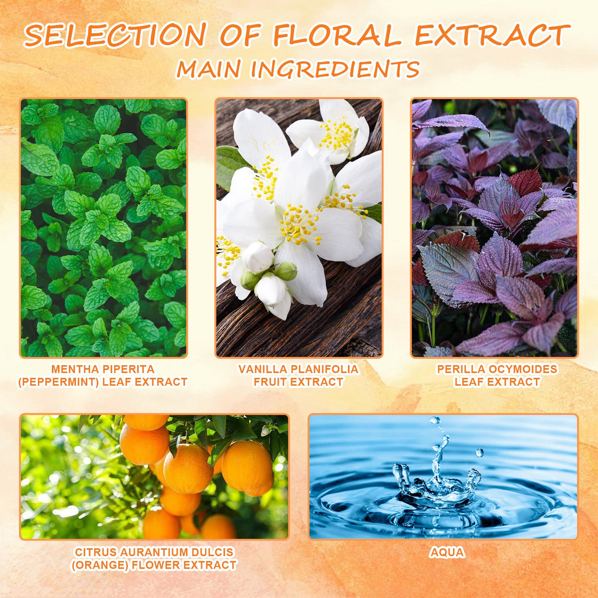 Dopamine Perfume: Light Fragrance for Everyday Charm
