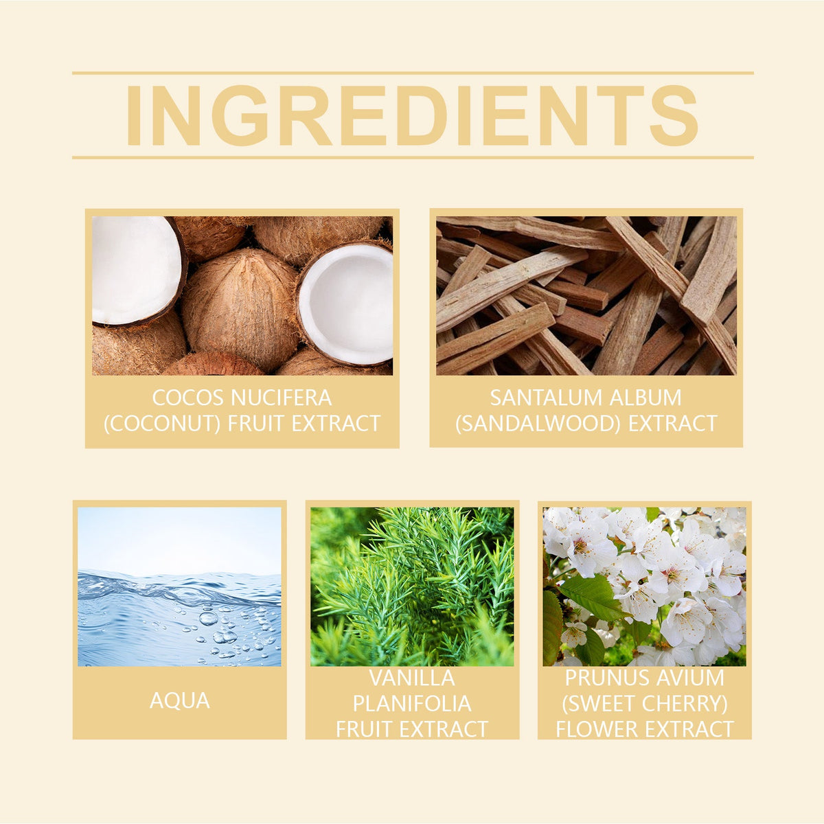 Vanilla Coconut Fragrance Mist for Everyday Freshness
