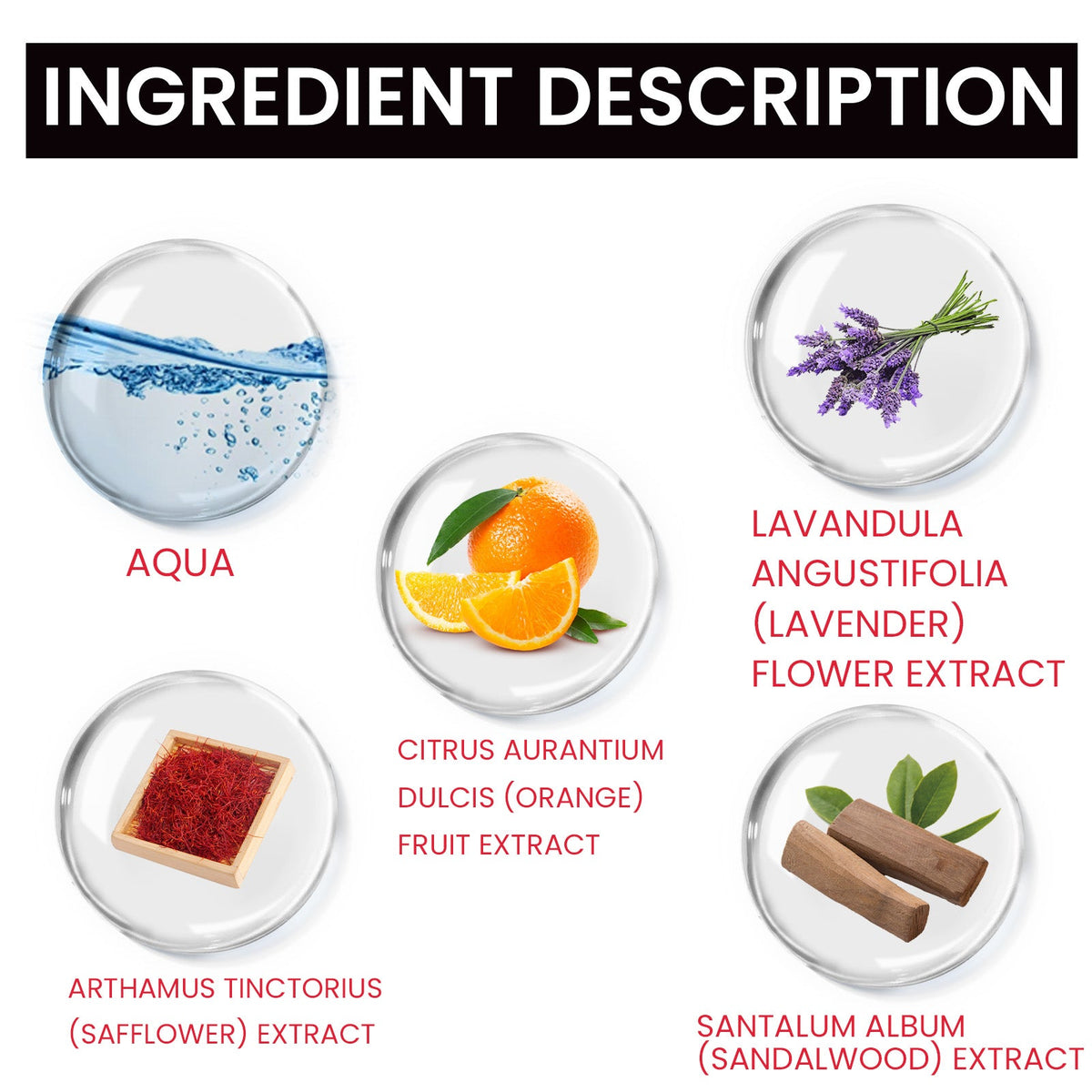 Women's Everyday Perfume for Fresh, Lasting Daily Charm