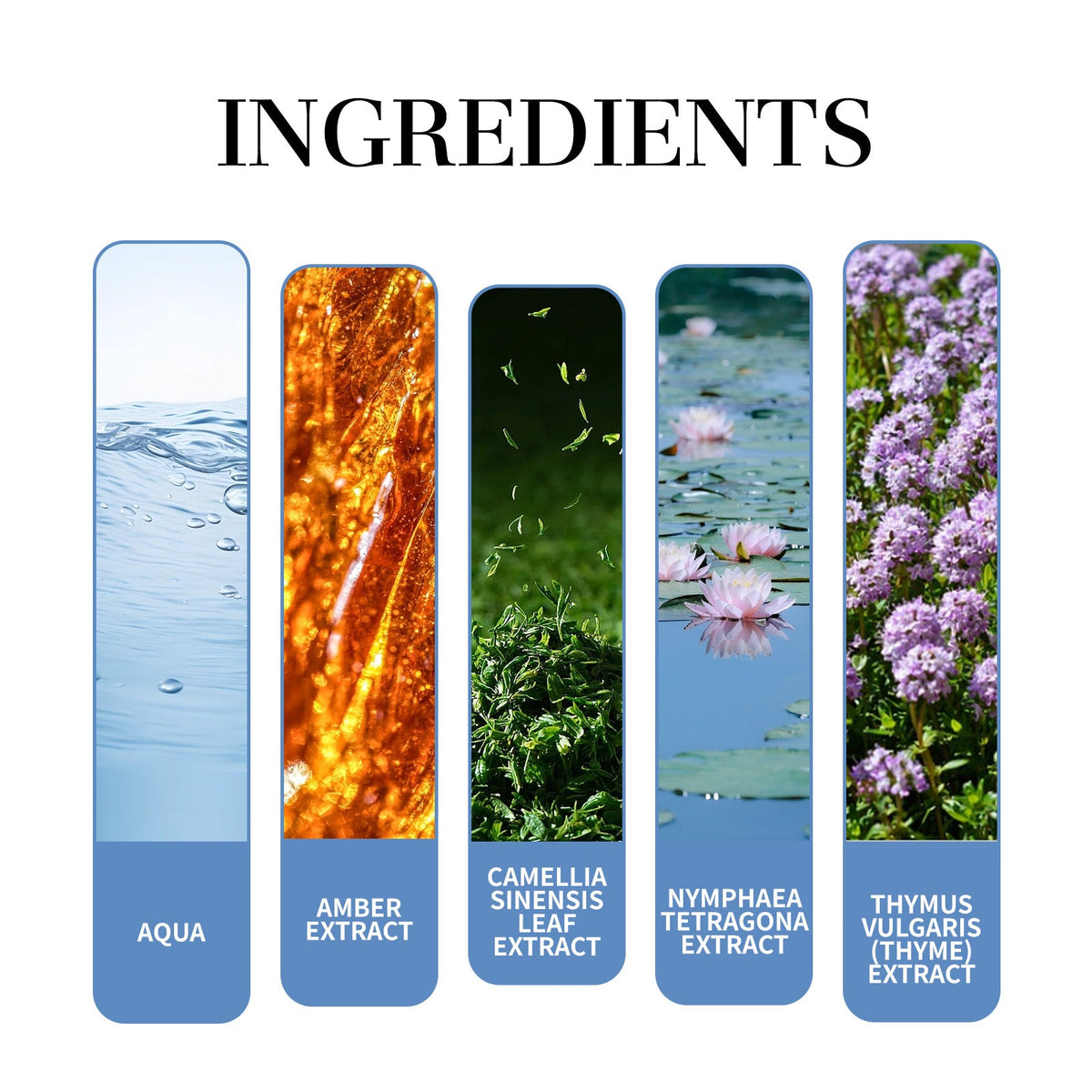 Men's Tea Fragrance Perfume for Fresh Everyday Charm
