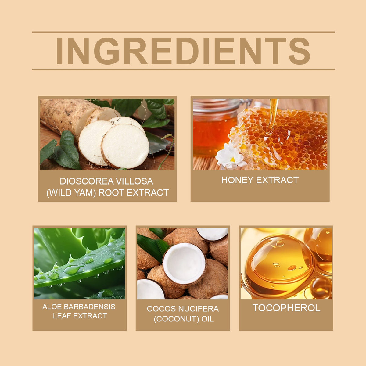 Wild Yam Honey Firming Cream for Dull Tired Skin