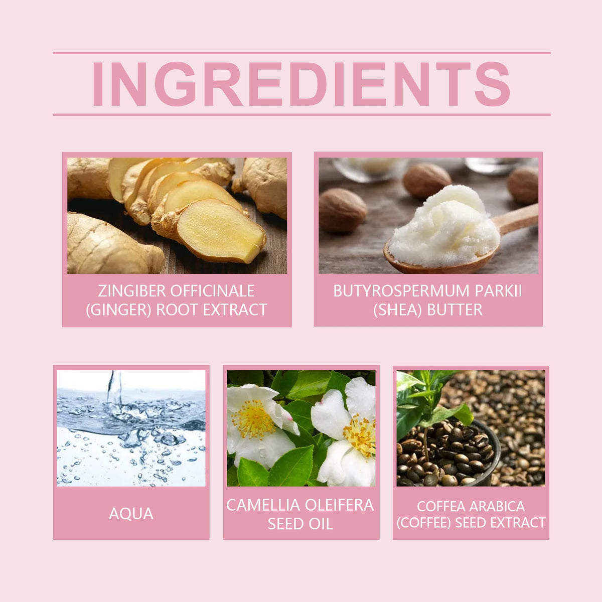 Anti-Cellulite Body Cream for Firmer Skin Elasticity