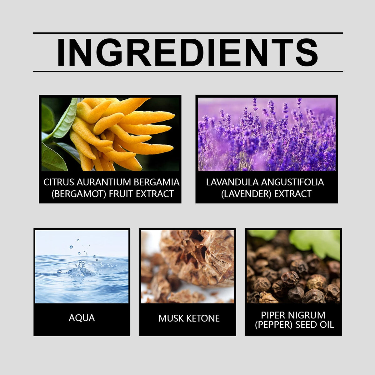 Bergamot Men's Perfume for Fresh Everyday Confidence