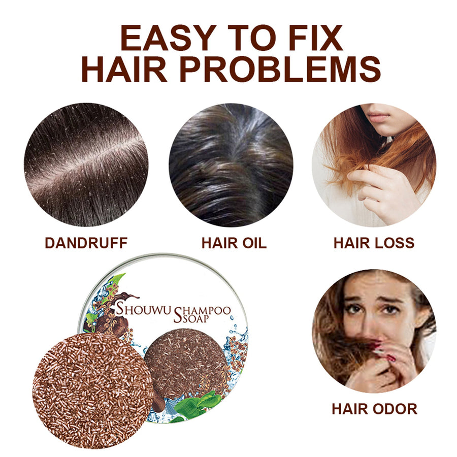 Polygonum Multiflorum Shampoo Cake for Fresher Hair