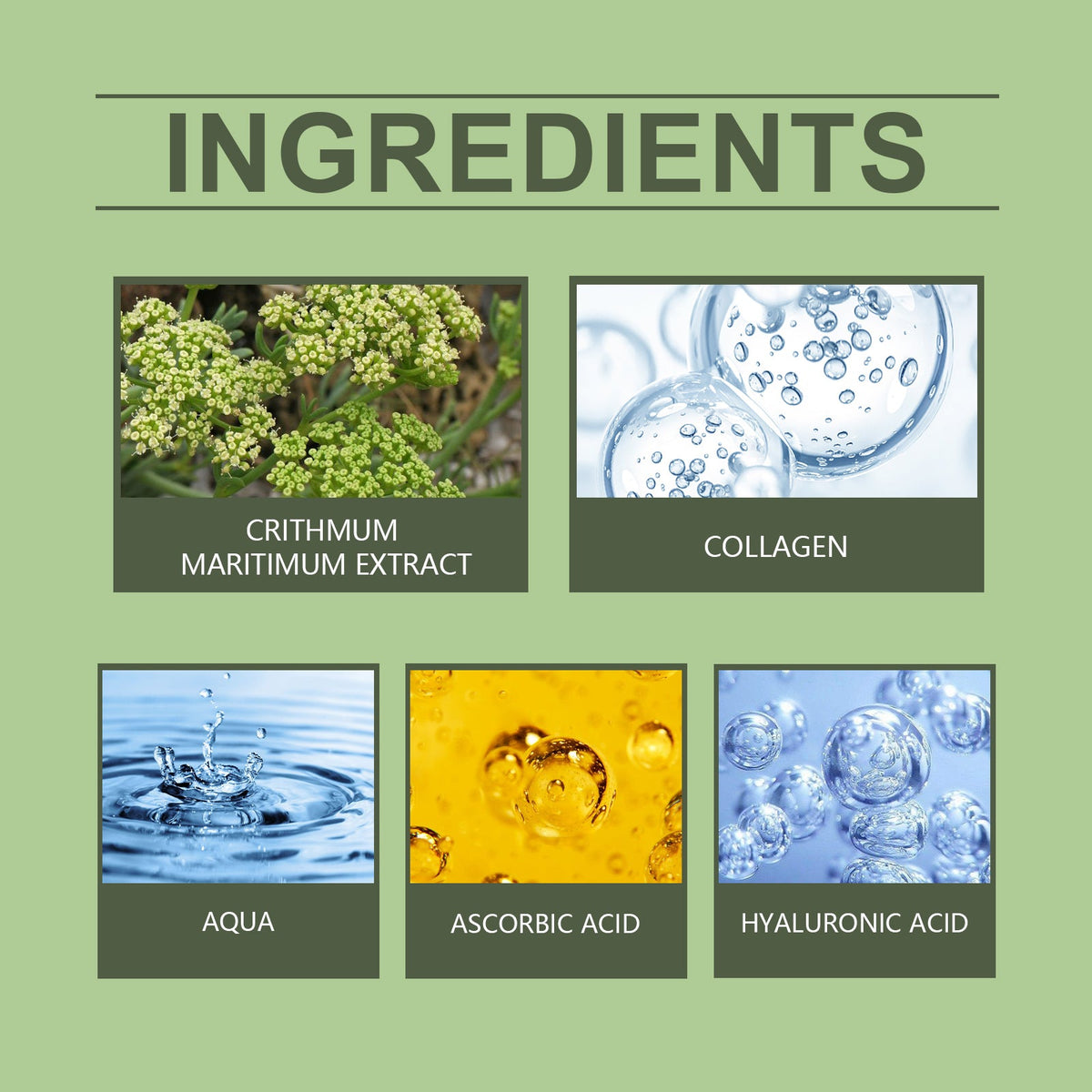 Sea Fennel Collagen Essence for Fine Lines & Dull Skin