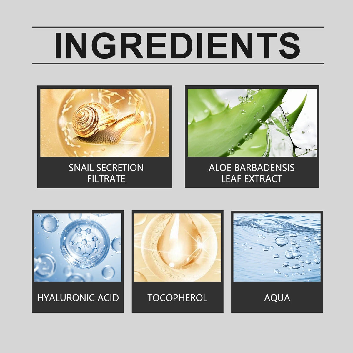Snail Moisturizing Cream for Dry, Dull Skin Repair