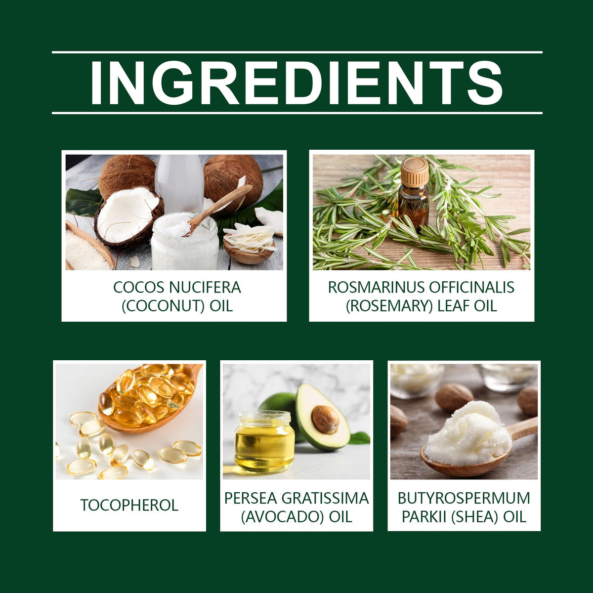 Rosemary Coconut Hair Oil for Dry Hair & Scalp Care