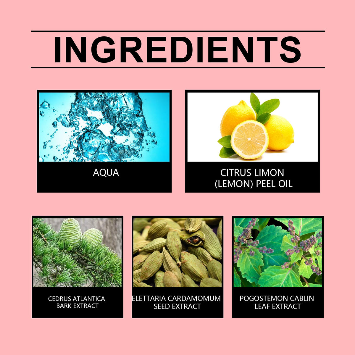 Cardamom Lemon Perfume - Fresh Signature Fragrance