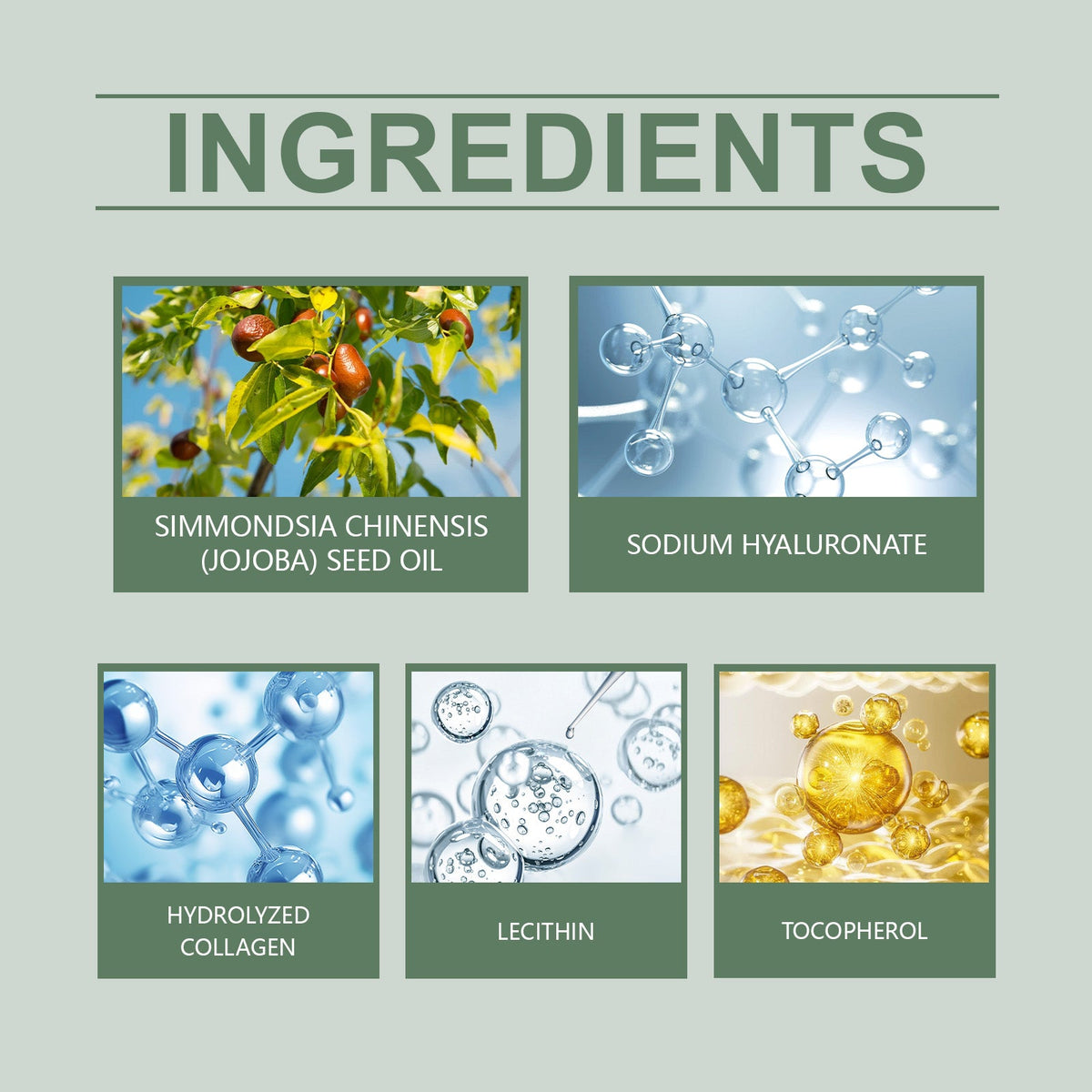 Moisturizing Face Cream for Firm, Even-Toned Skin