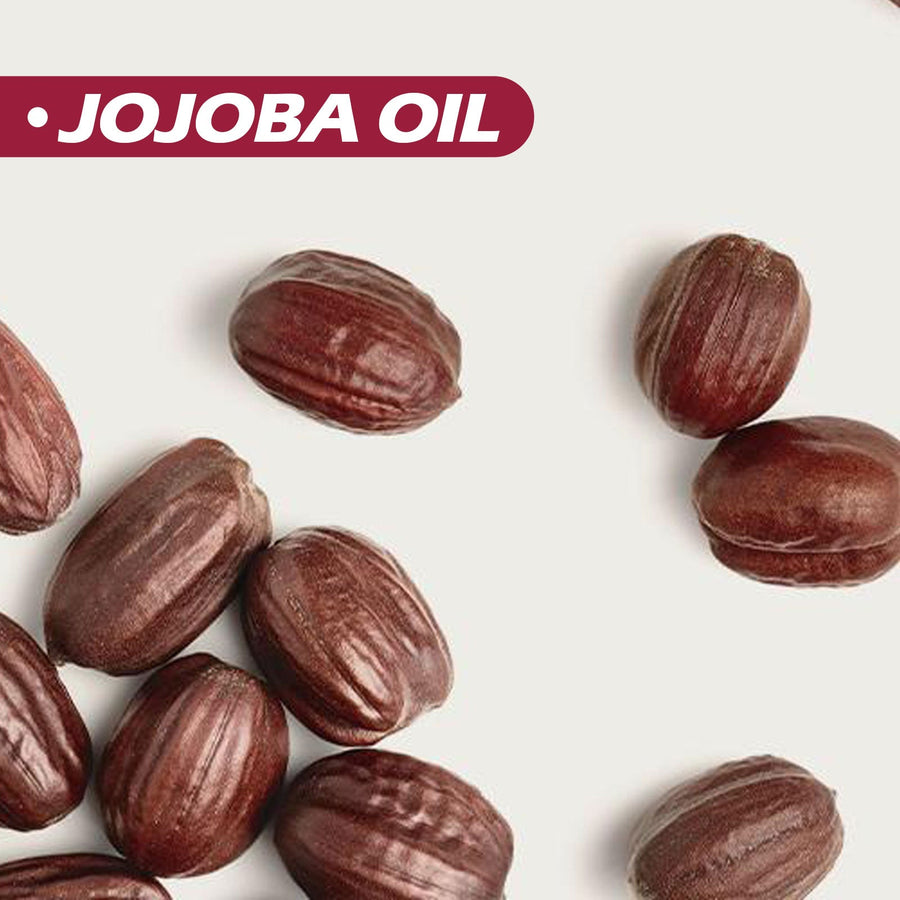Jojoba Oil Hair Conditioner for Daily Scalp Moisture