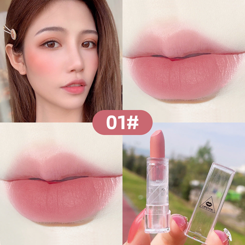 Matte Lipstick for Portable Everyday Color, Peach Pink