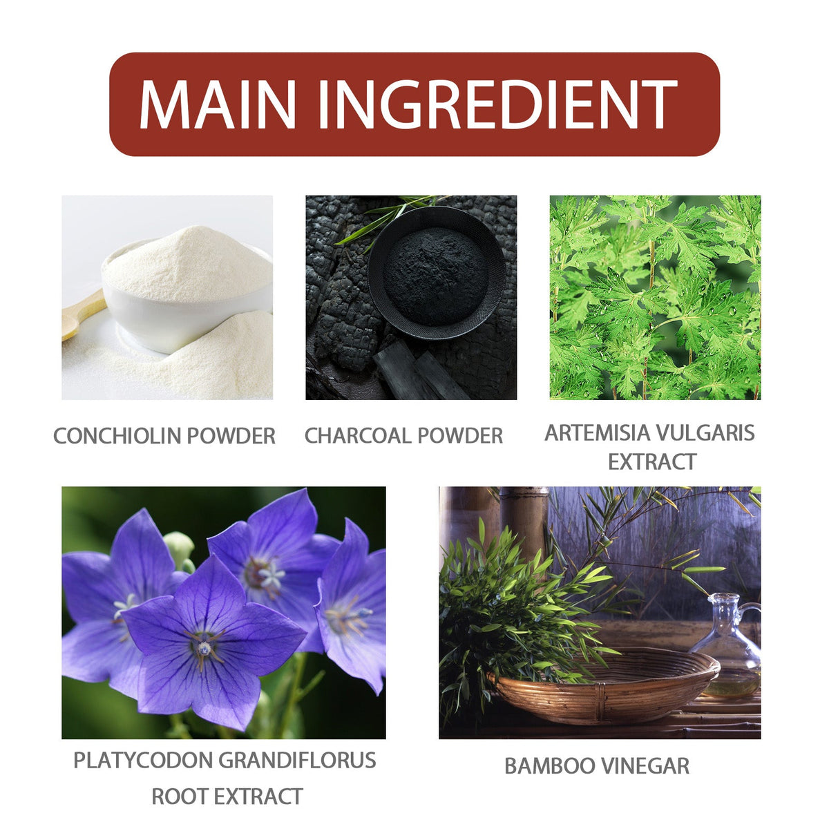 Bamboo Charcoal Foot Patches for Deep Sleep & Detox