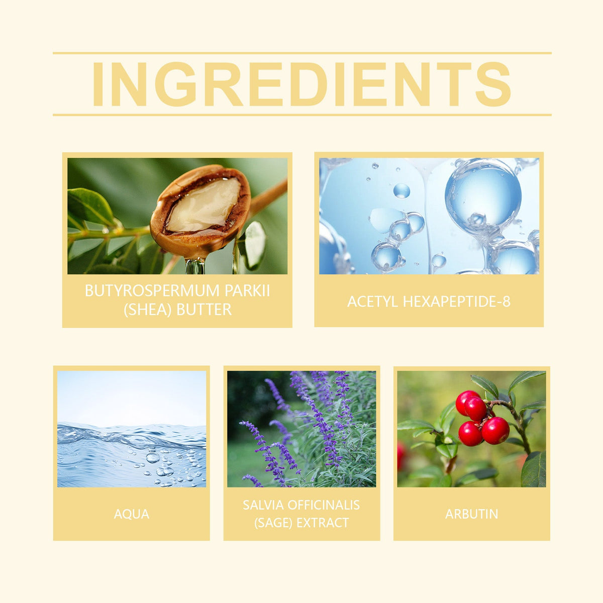 Neck Firming Creme with Acetyl Hexapeptide-8 Peptide