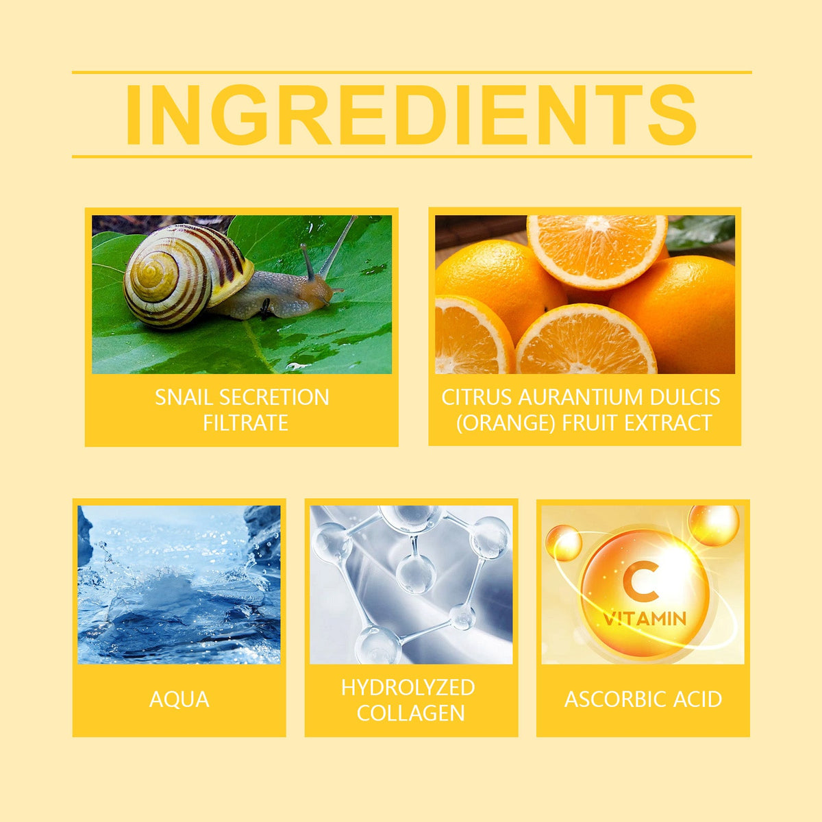 Snail Collagen Firming Cream for Dry, Sagging Skin