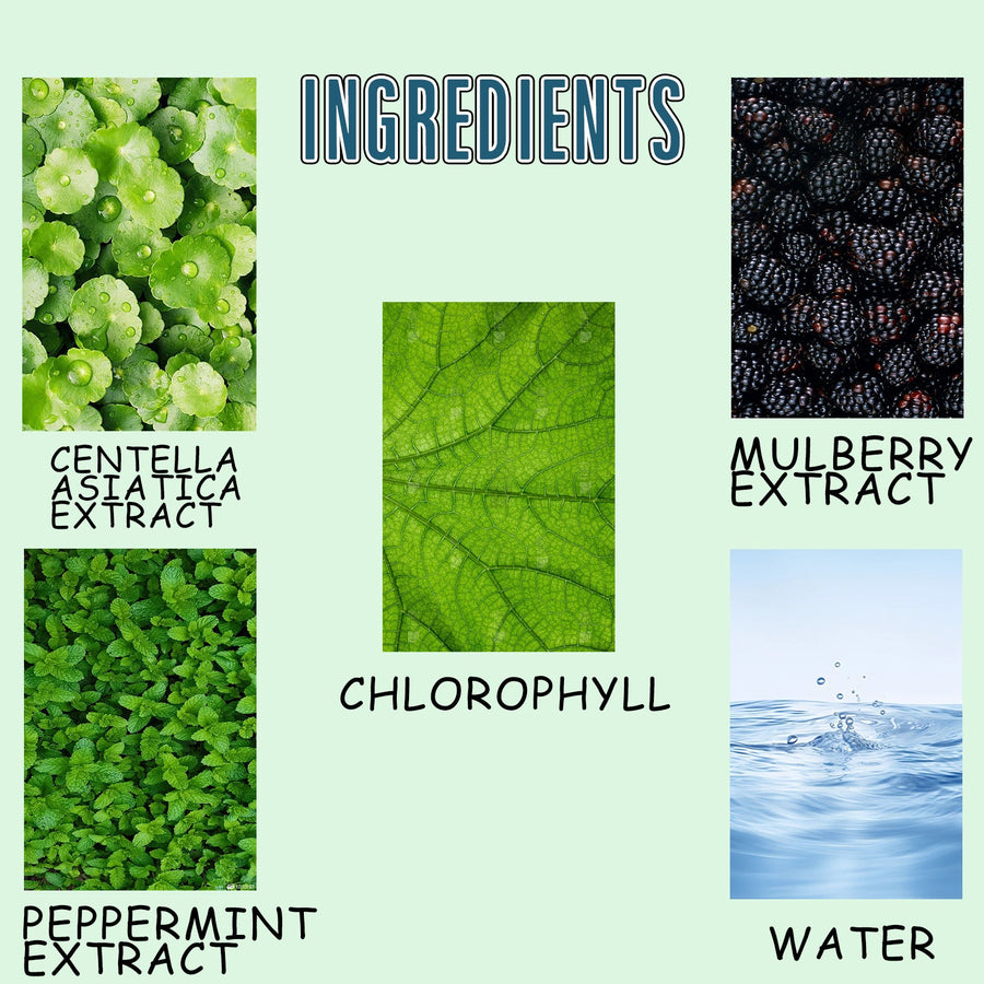 Chlorophyll Drops — Reduce Body Odor, Boost Energy Naturally