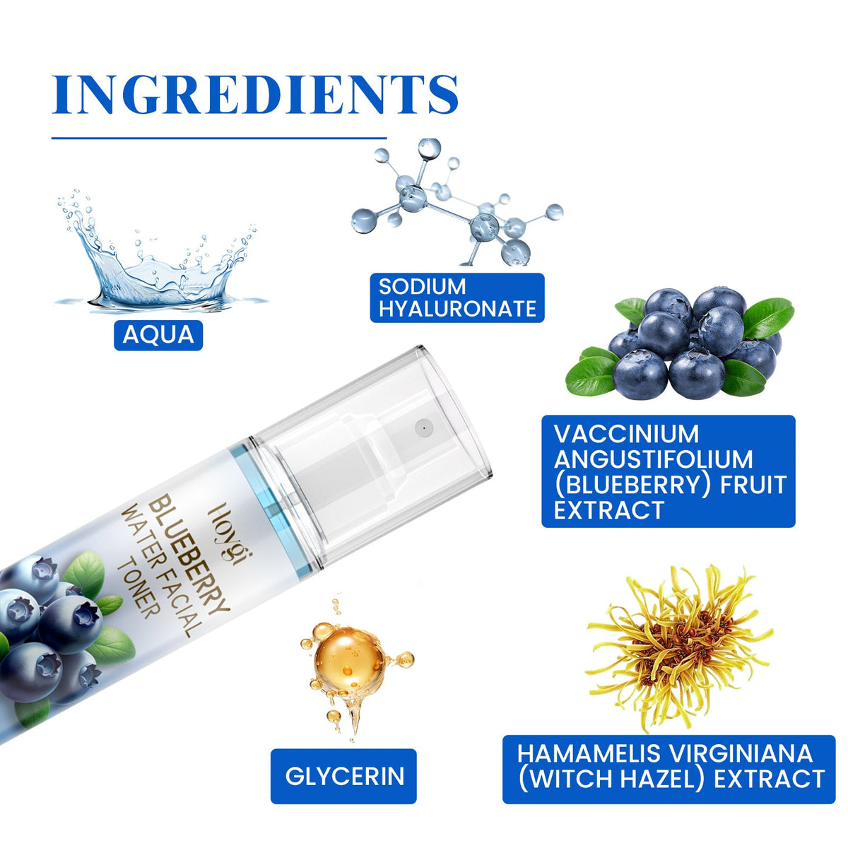 HOYGI Blueberry Toner - Hydrating Antioxidant Face Mist