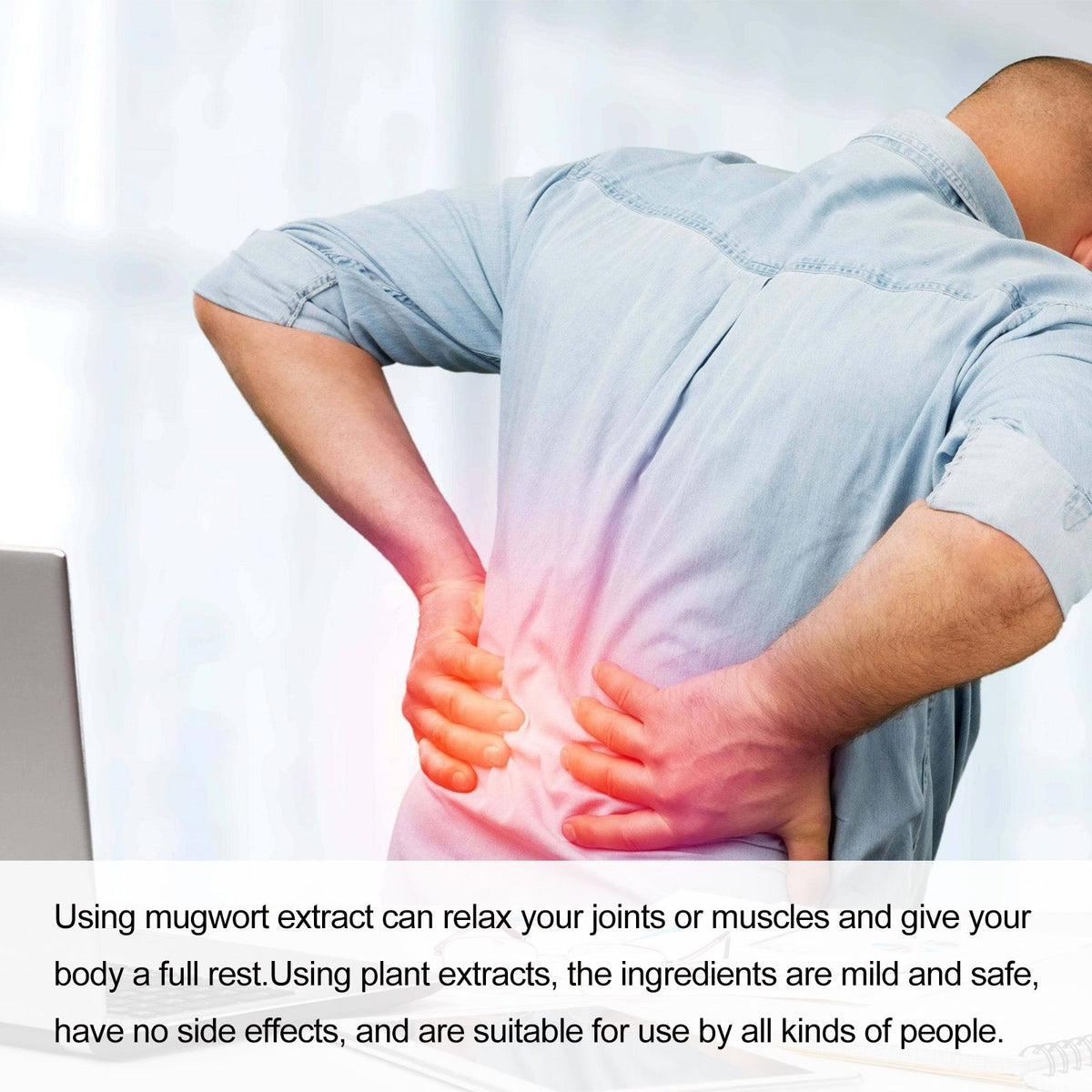 Wormwood Pain Patches – 12ct Plant‑Based Relief for Back