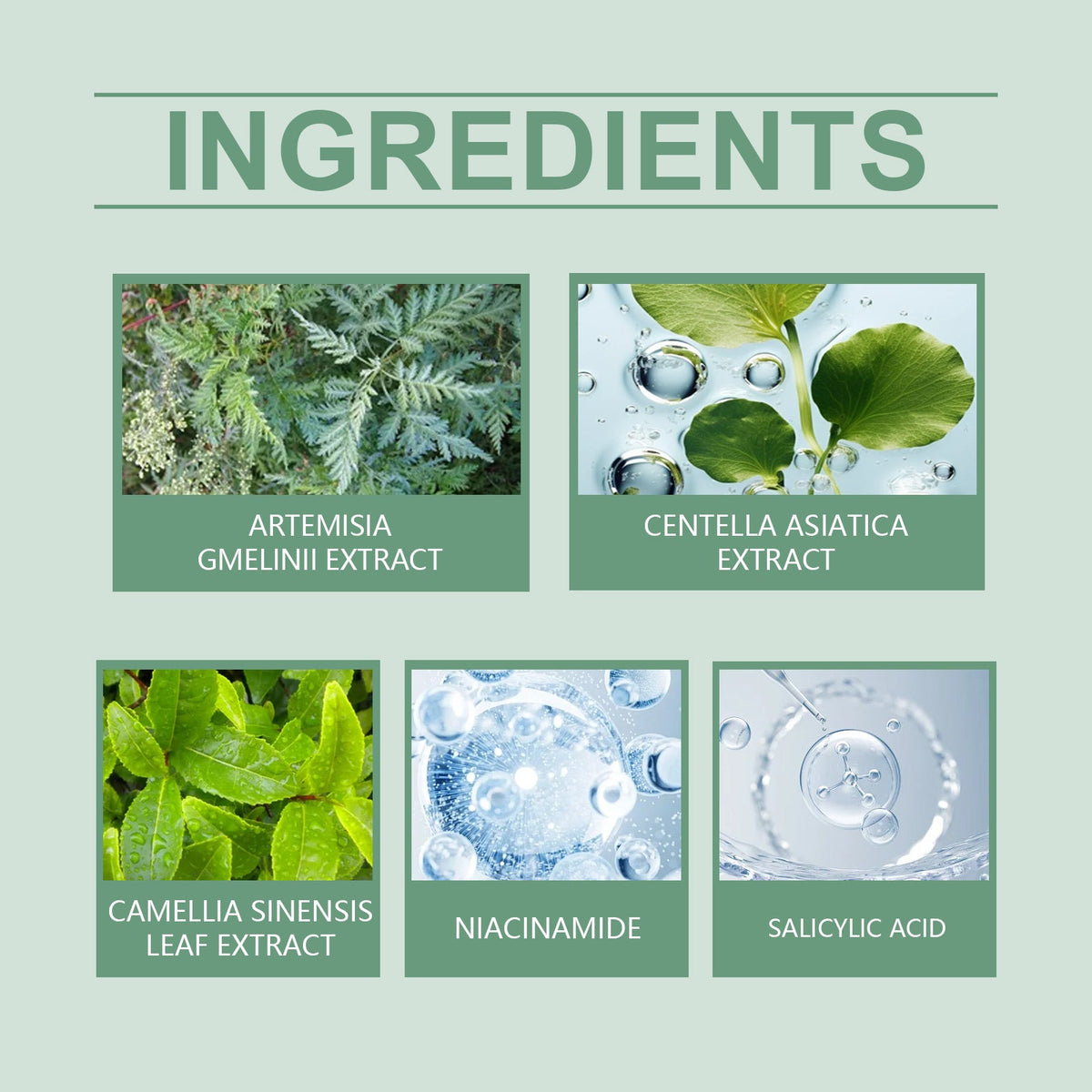 Green Tea Clay Mask for Blackheads & Pore Refining