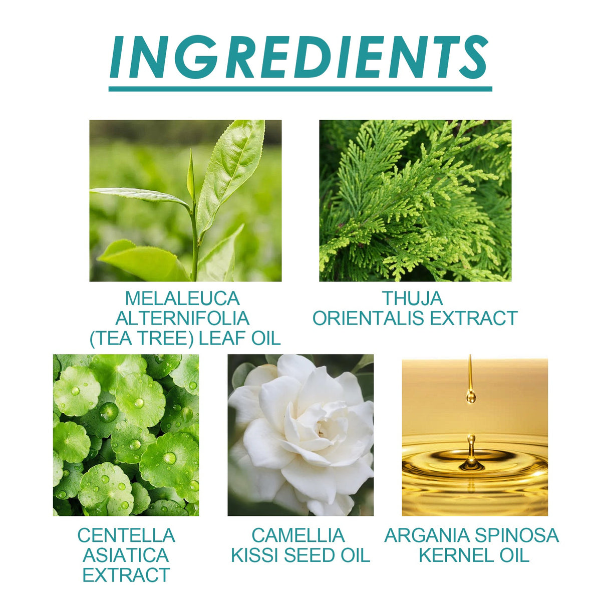 Hydrocolloid Blemish Patches - Invisible Acne Spot Treatment