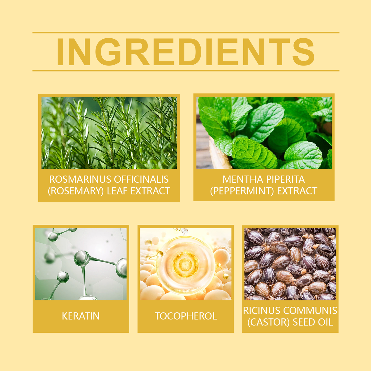 Rosemary Mint Hair Oil for Smoother, Shinier Looking Hair