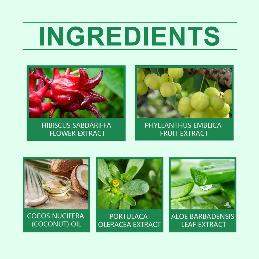 Herbal Hair Oil for Dry Hair & Fuller-Looking Hair