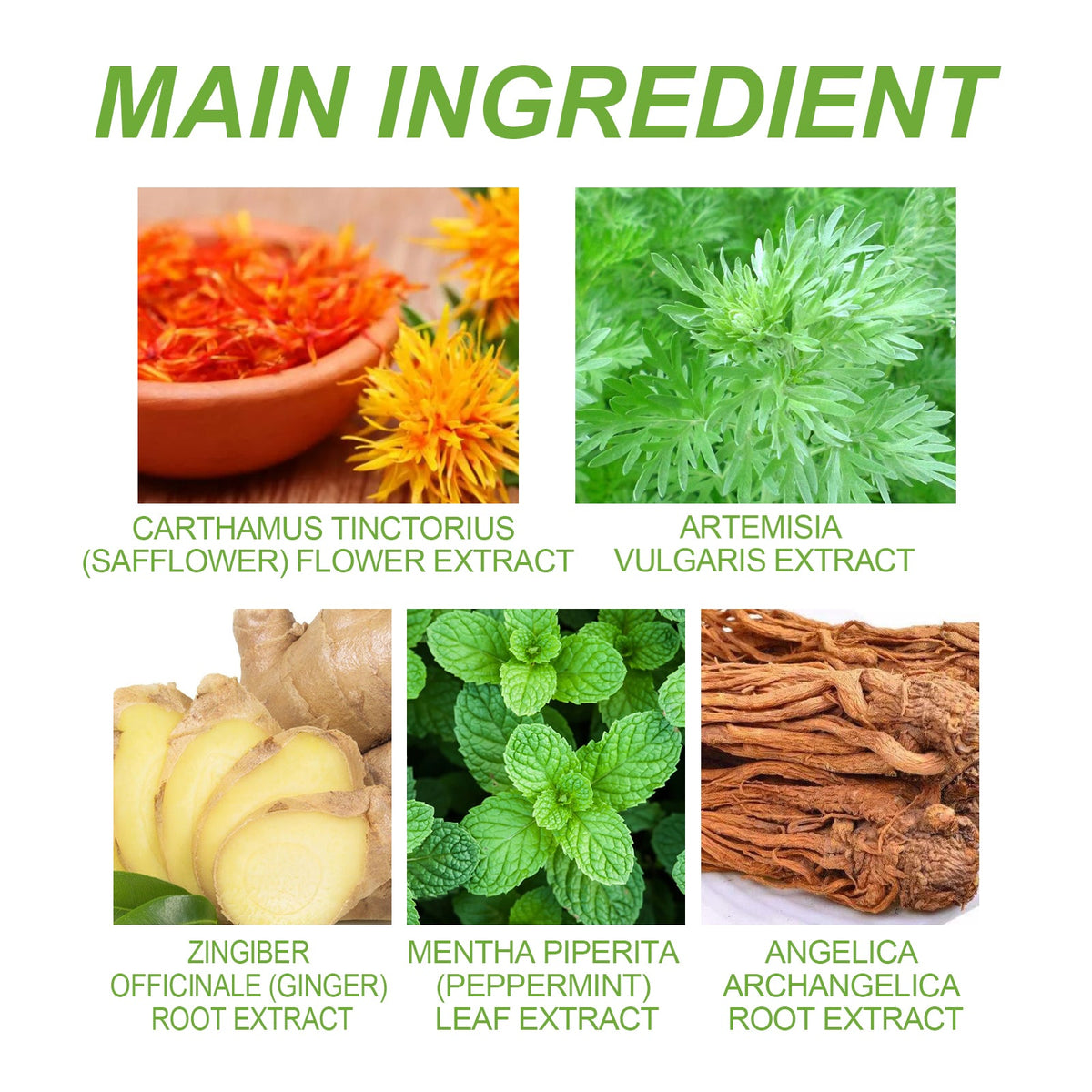Wormwood Pain Relief Patch — Long-Lasting Herbal Relief