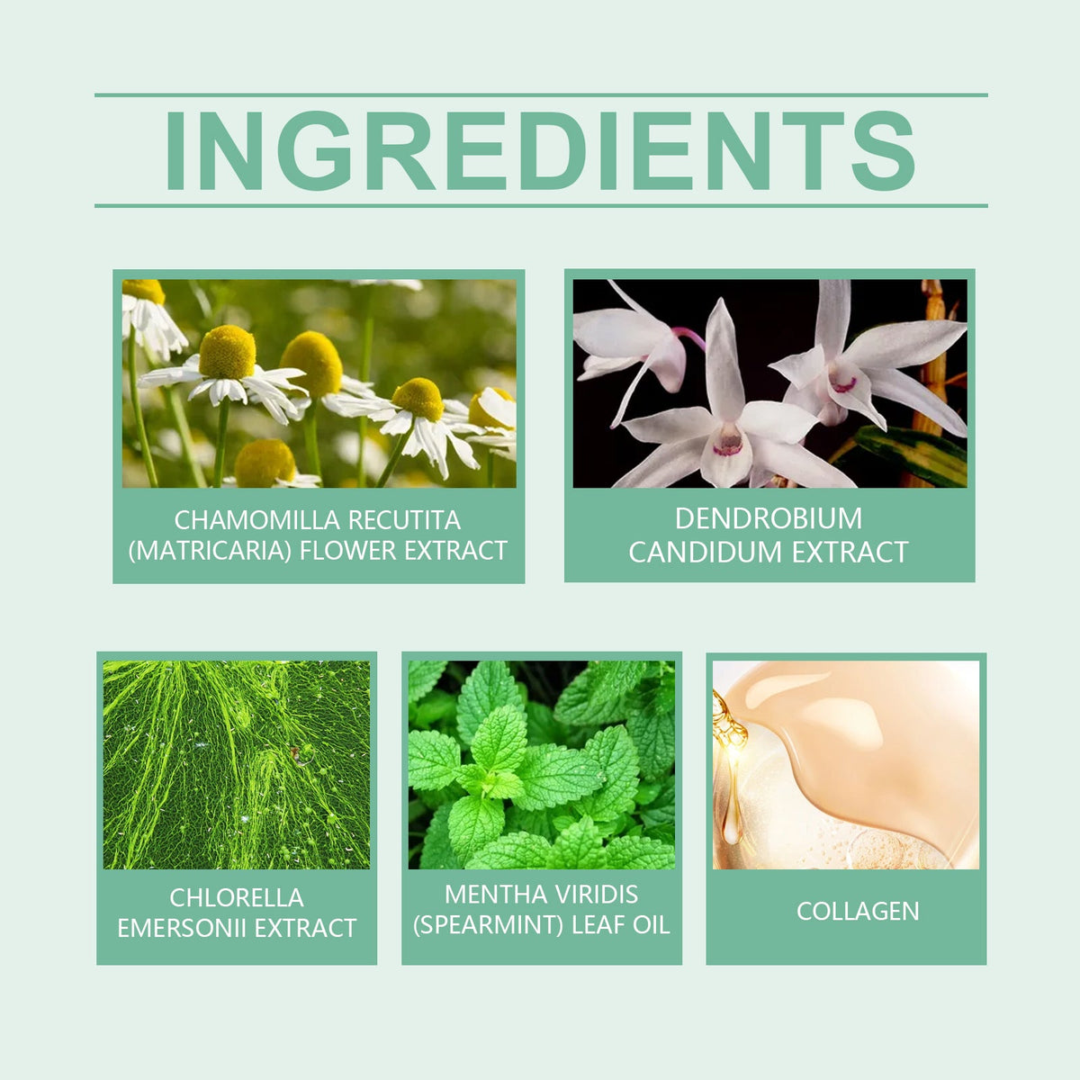 Portable Herbal Nasal Inhaler for Fast Sinus Relief