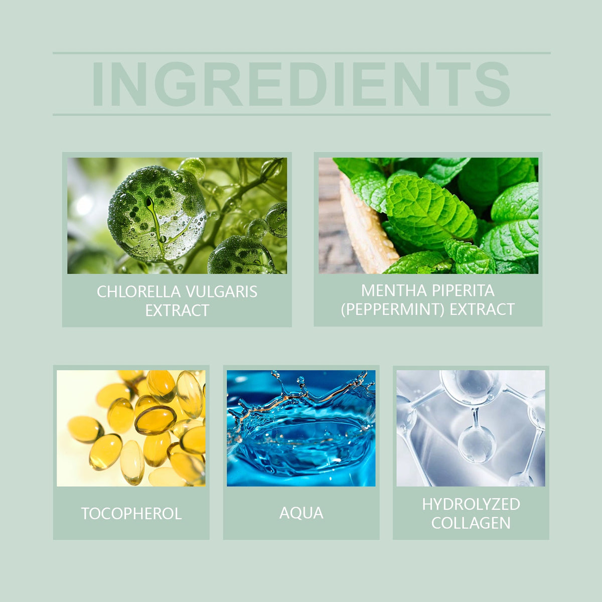 Herbal Pore-Refining Gel with Chlorella & Collagen 50g