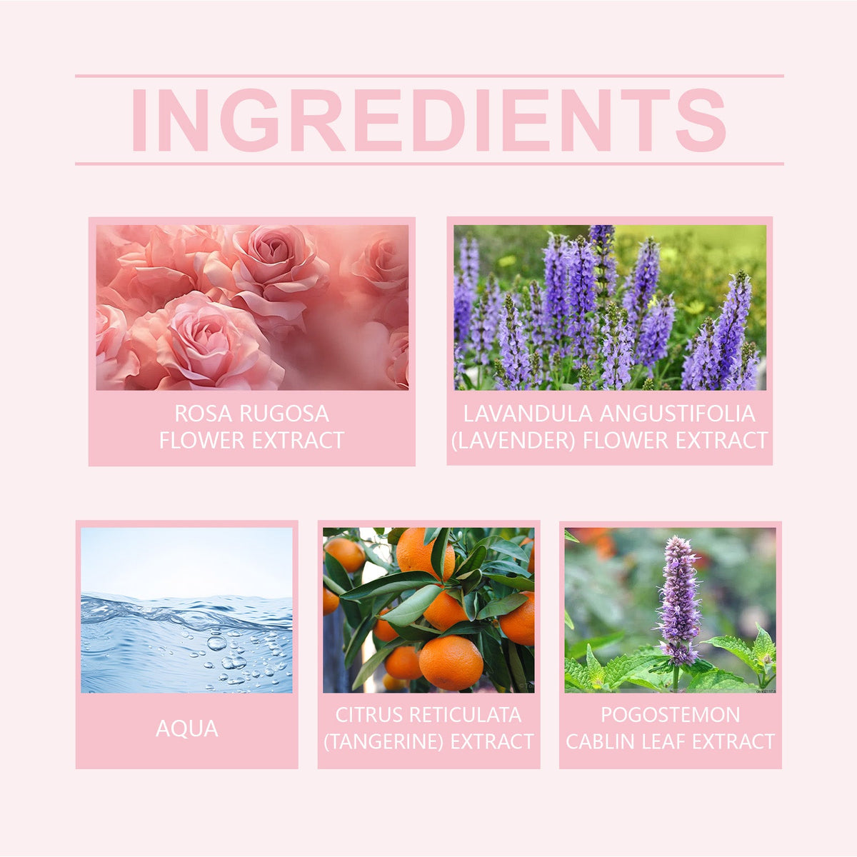 Rose Fragrance Perfume, Portable 15ml Everyday Scent