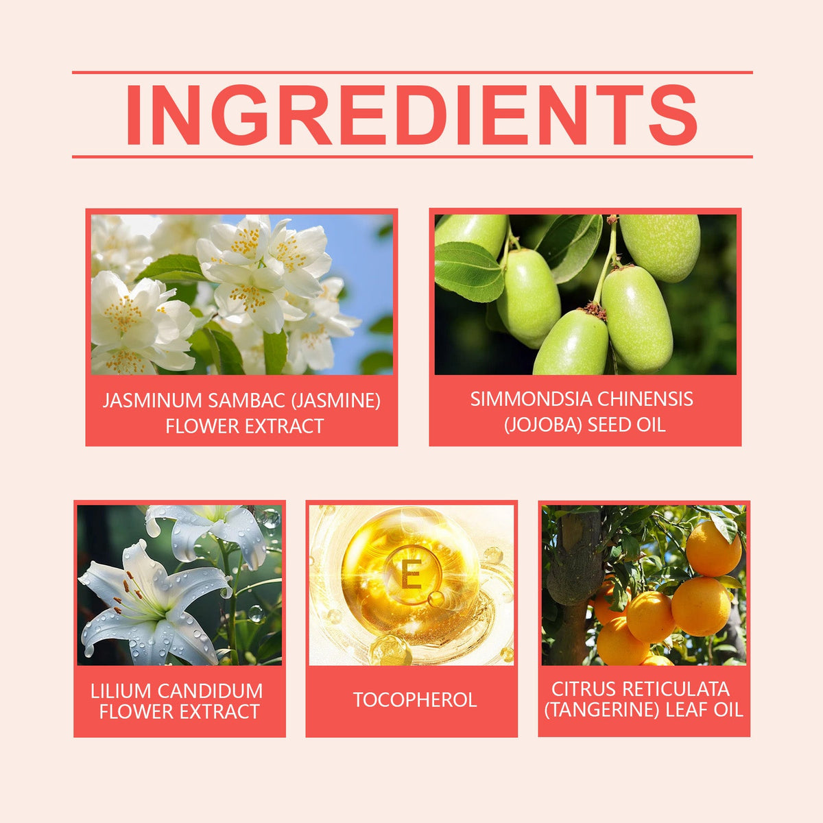 Jasmine Perfume Spray for Light Everyday Freshness