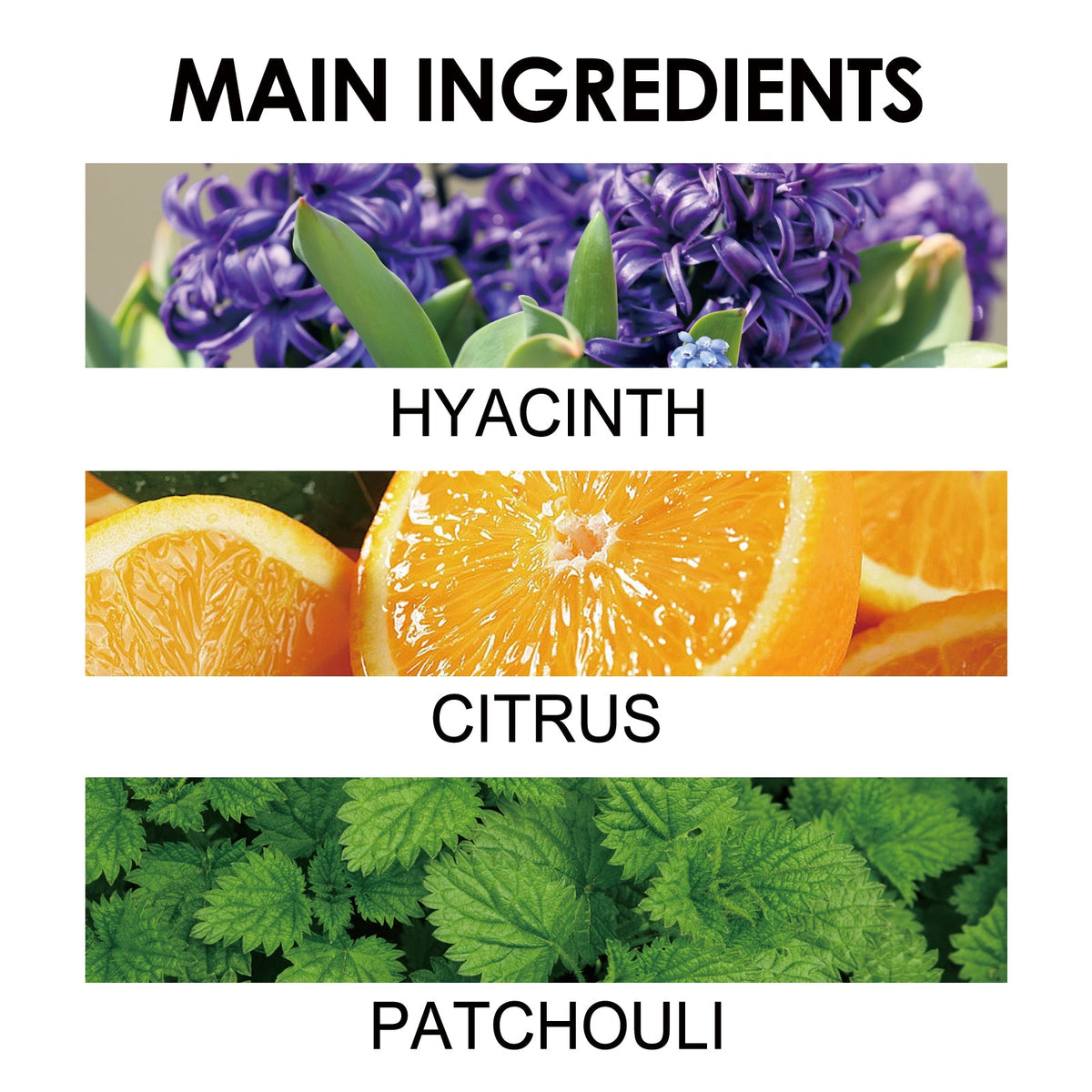 Portable Solid Perfume Balm for Long-Lasting Fragrance