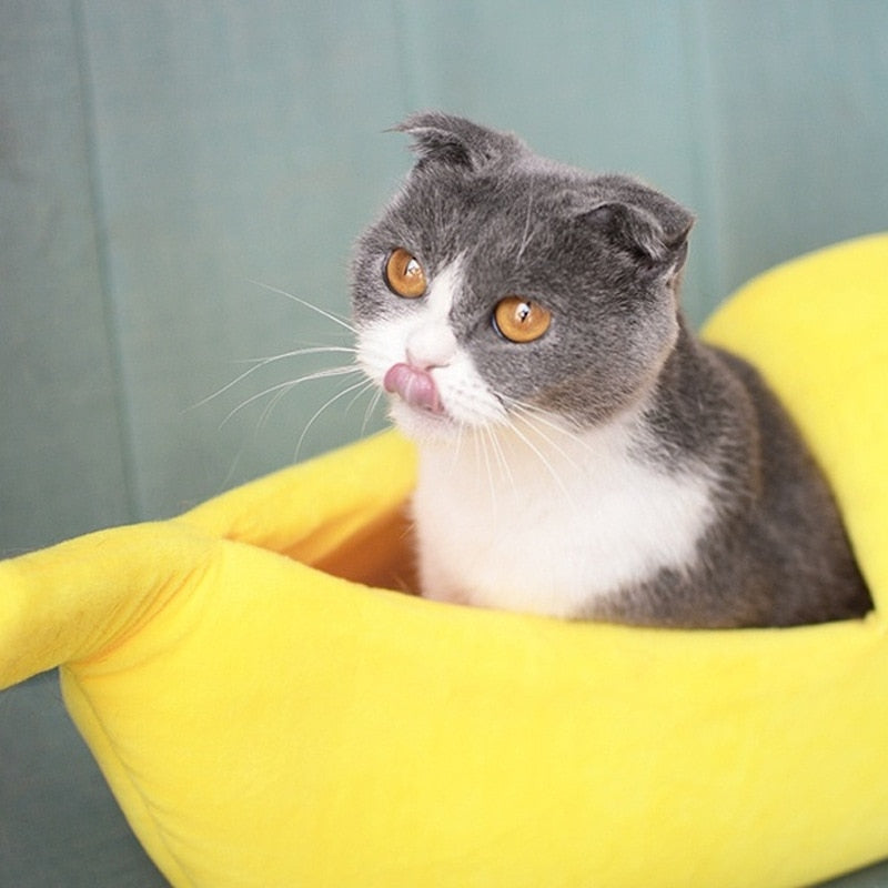 Banana Cat Bed House for Cozy Indoor Cat Naps