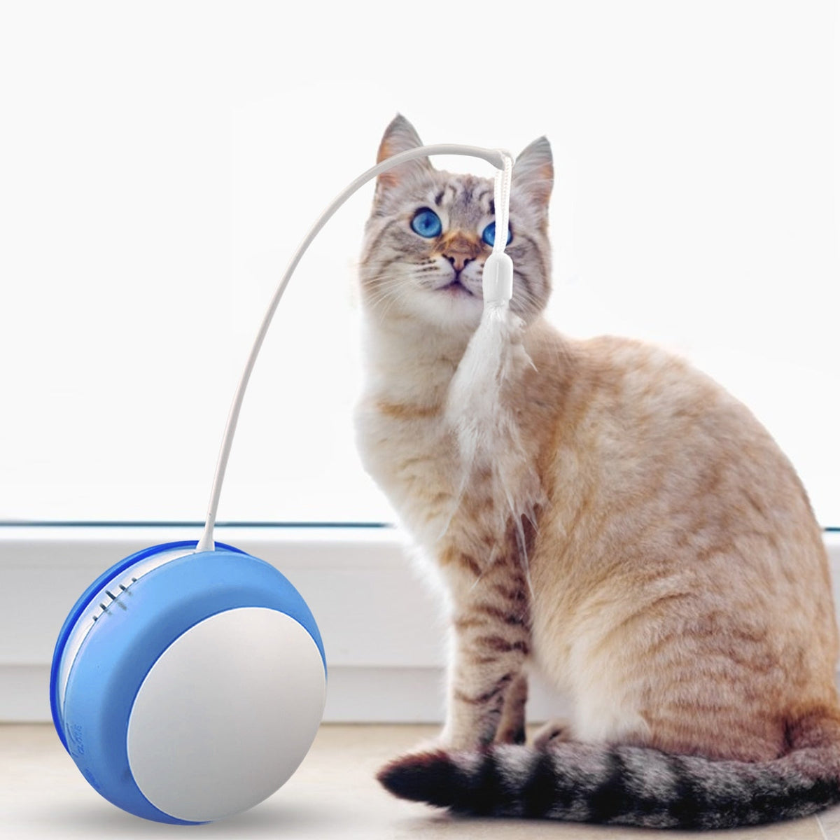 Interactive Cat Toy Tumbler For Indoor Chase Play