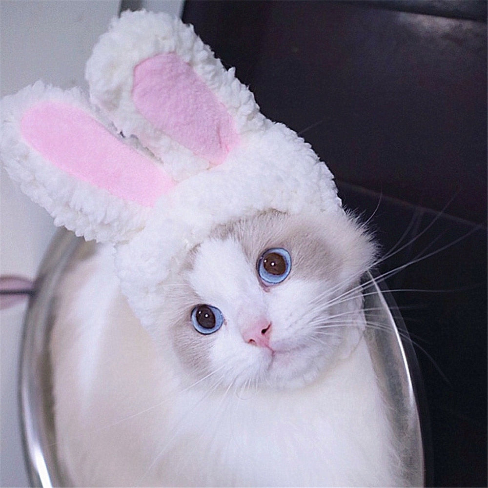 Bunny Rabbit Hat for Cats & Small Dogs | Easter Photos