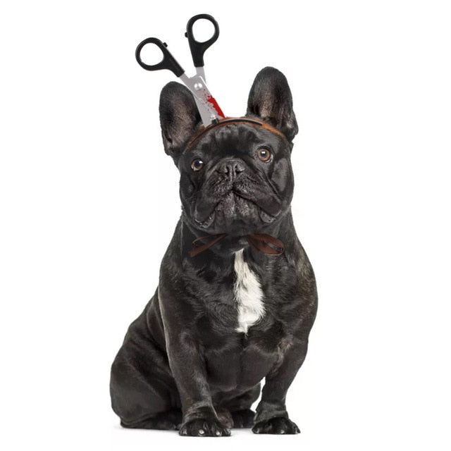 Pet Halloween Costume Headband for Funny Photos & Cosplay