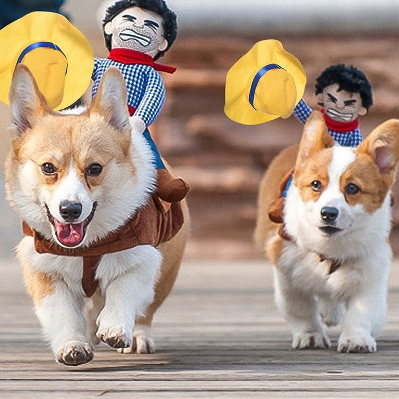 Pet Cowboy Costume for Funny Riding-Pet Halloween Photos