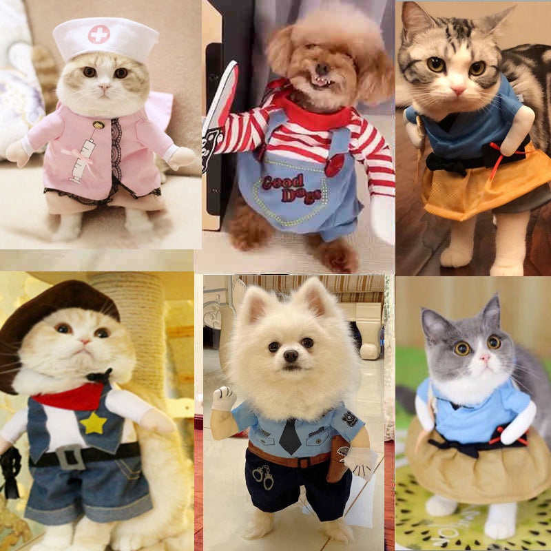 Pet Costumes for Cats & Small Dogs | Festive Photos