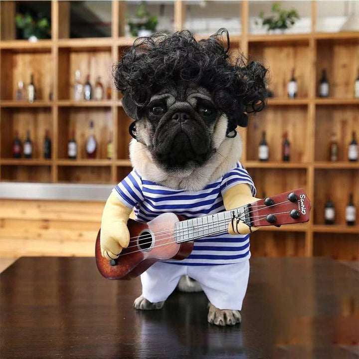 Pet Costumes for Cats & Small Dogs | Festive Photos