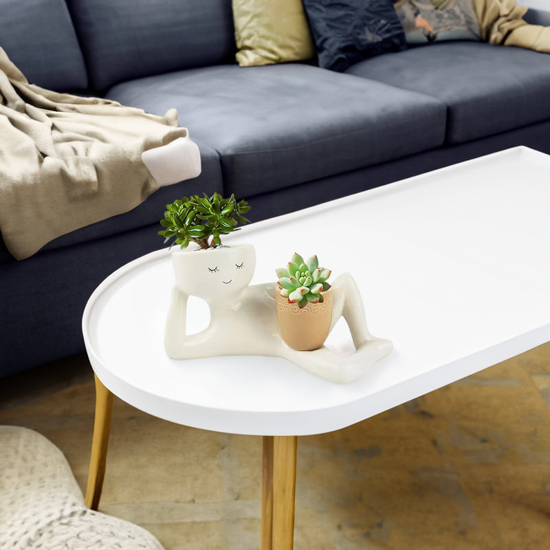 Funny Resin Succulent Planter: Playful Dual-Pot Decor