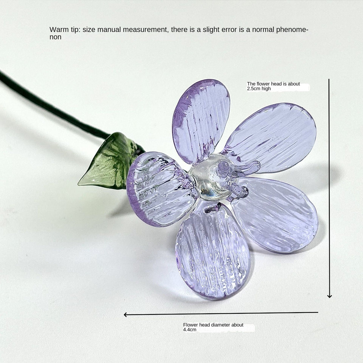 Glass Birth Flower Vase for Colorful, Lasting Home Decor