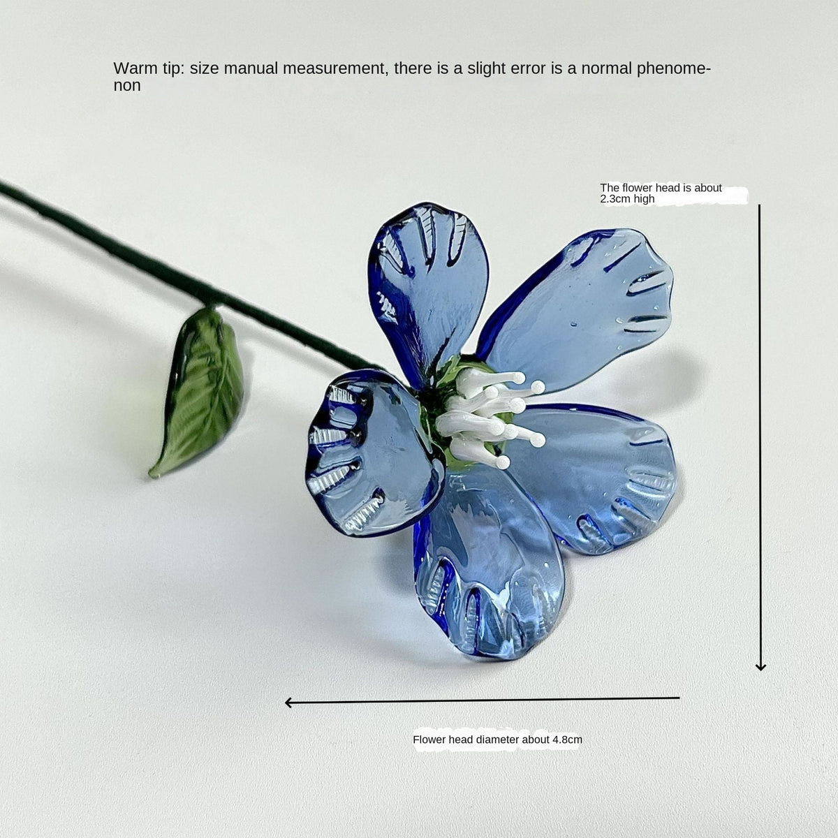 Glass Birth Flower Vase for Colorful, Lasting Home Decor