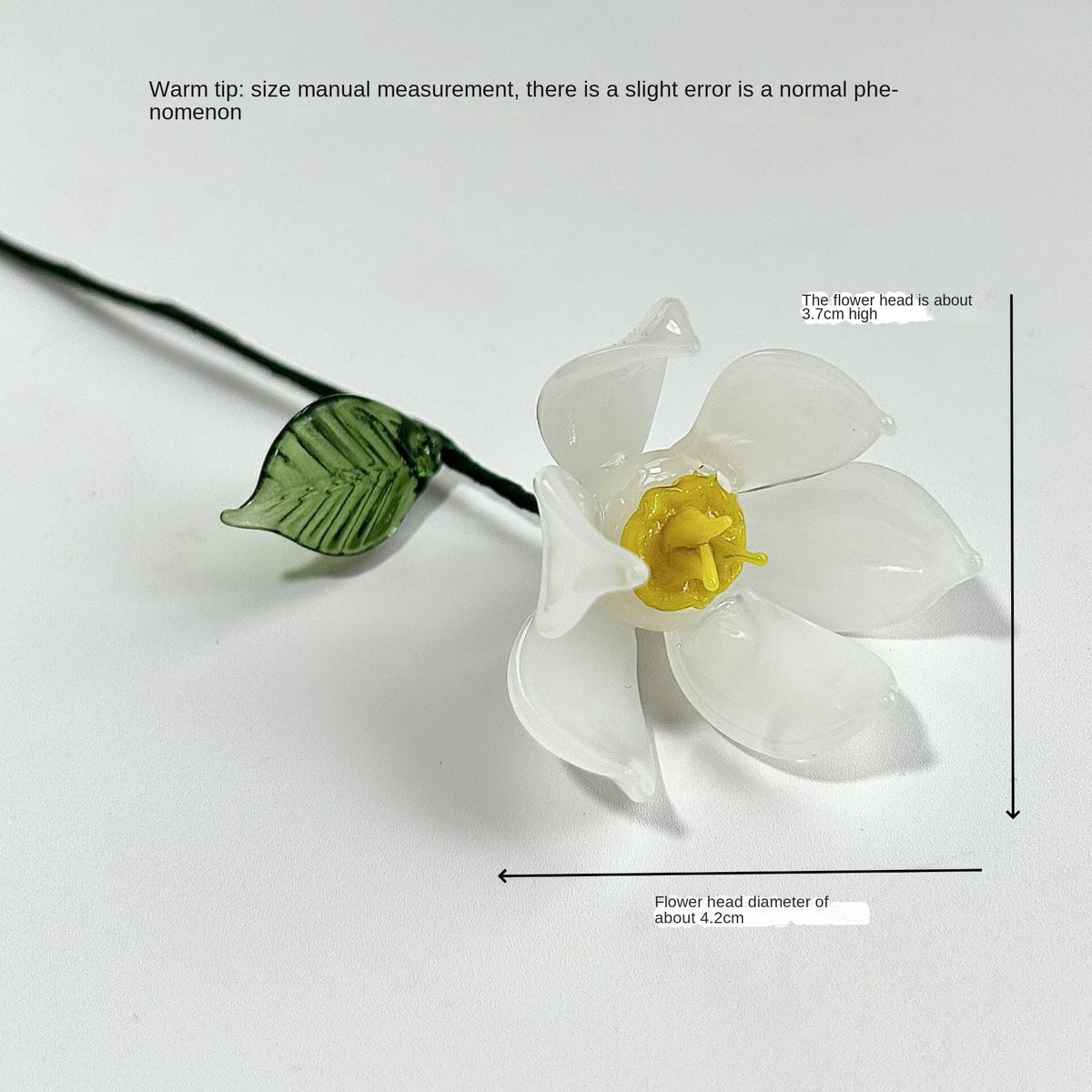 Glass Birth Flower Vase for Colorful, Lasting Home Decor