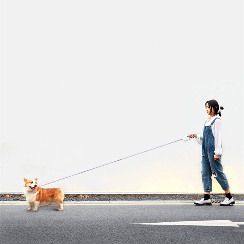 Glowing Retractable Dog Leash For Safer Night Walks