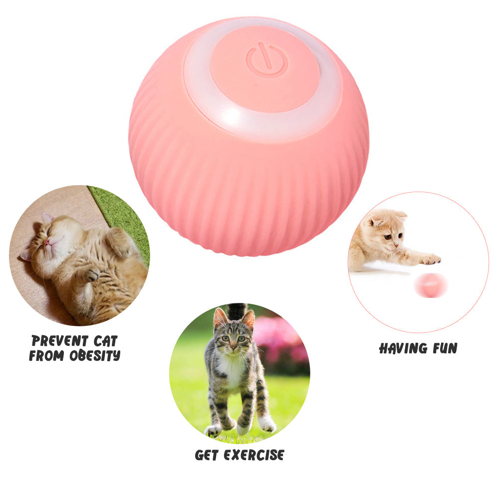 Interactive Cat Ball for Indoor Exercise & Enrichment