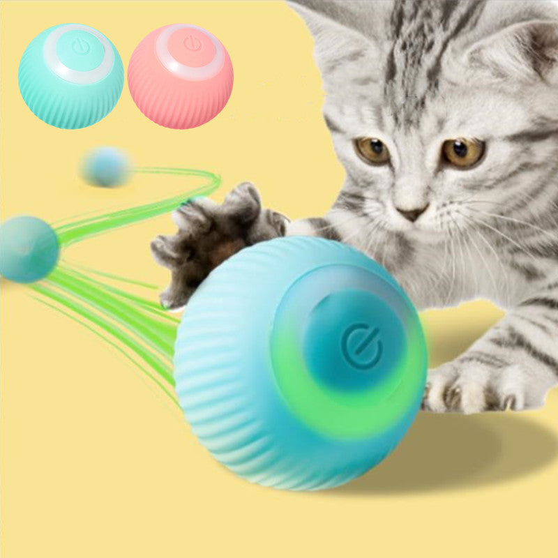 Interactive Cat Ball for Indoor Exercise & Enrichment