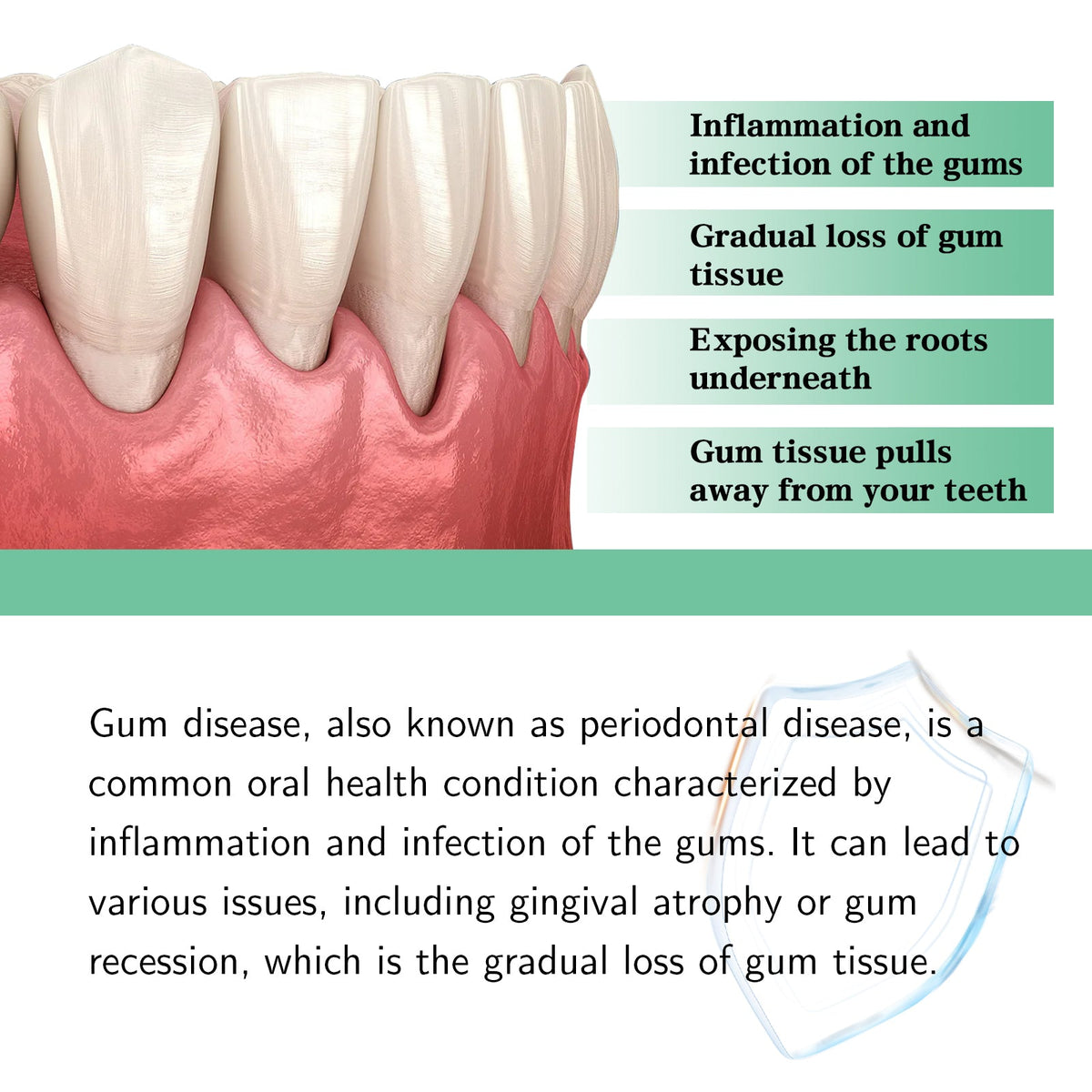 Gum Care Drops for Daily Gum Health & Comfort Support