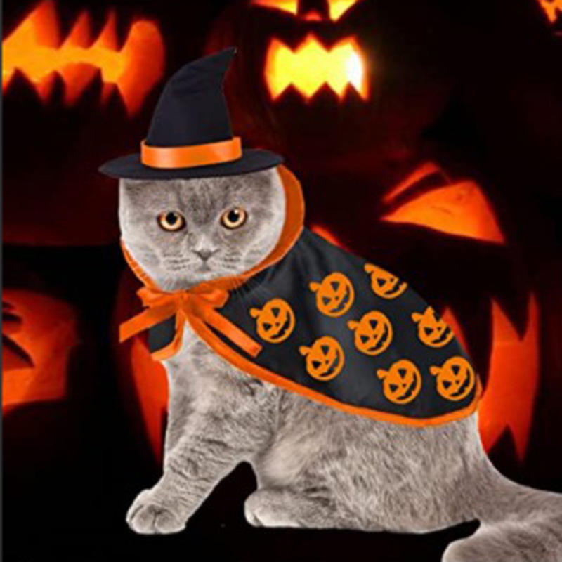 Pet Halloween Cloak Costume With Pumpkin Witch Hat