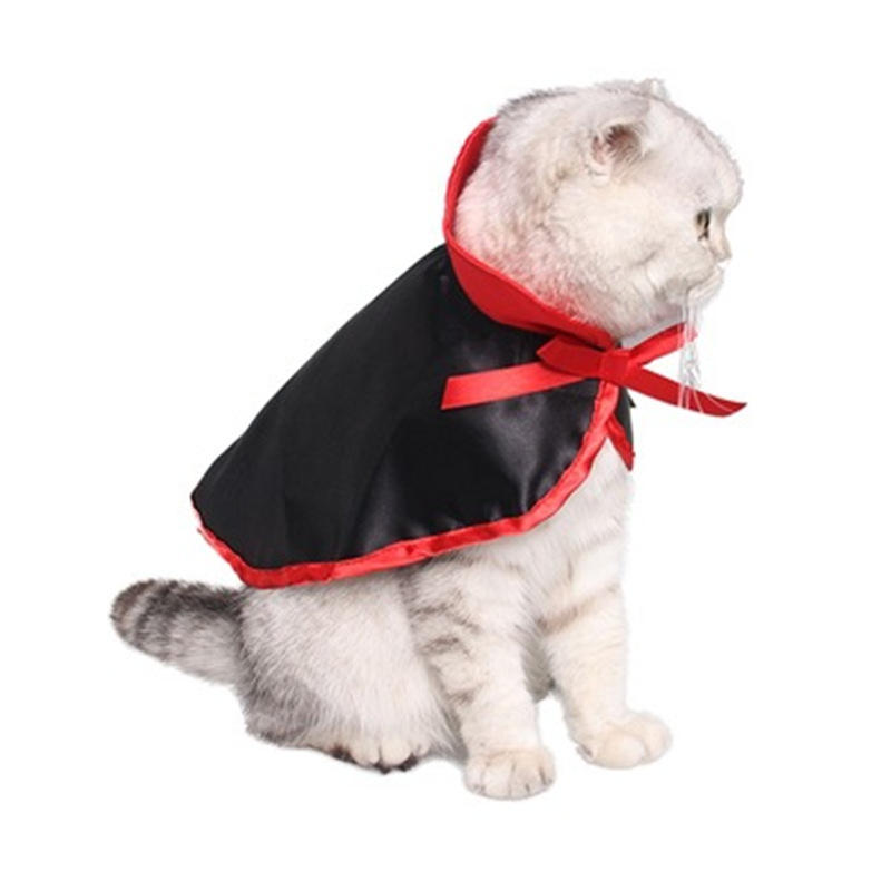 Pet Halloween Cloak Costume With Pumpkin Witch Hat