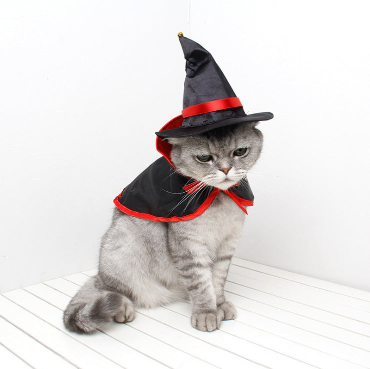 Pet Halloween Cloak Costume With Pumpkin Witch Hat