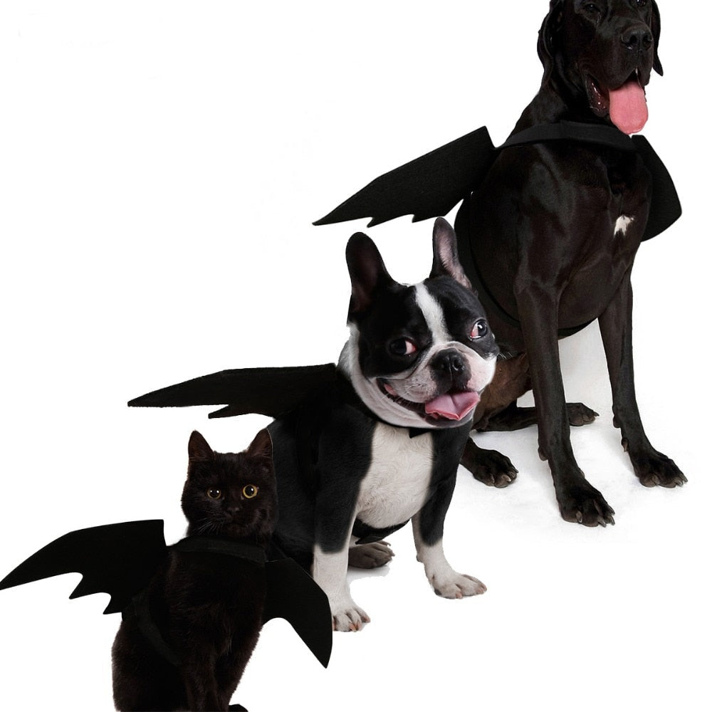 Halloween Dog Bat Wings Costume for Photo-Ready Pets